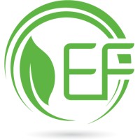 EF Global Ltd logo - Similar company to 99Plas