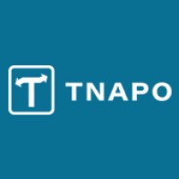 Tnapo logo - Similar company to Future Ai Factory