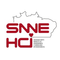 SNNEHCI logo - Similar company to Ab Ulax - Medical Technology