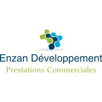 ENZAN Développement logo - Similar company to Enea Douane