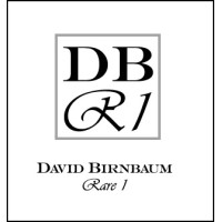 David Birnbaum / Rare 1 logo - Similar company to Hvadesign
