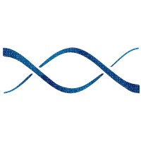 Digital Network Access Inc. logo - Similar company to Z-Connect, Inc.