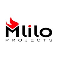 Mlilo Projects logo - Similar company to Digital Asset Studios