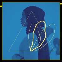 Lyrix Organix logo - Similar company to All Change Arts Limited