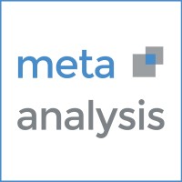 META ANALYSIS logo - Similar company to Data Catering