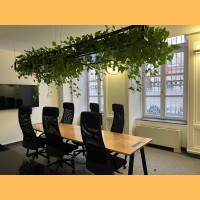 Megallo Co-working Office logo - Similar company to New Solution Service Kft