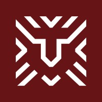 Lucky Lions Den logo - Similar company to ANSG