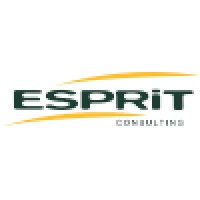 Esprit Consulting/Q-Perior