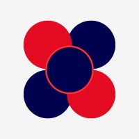 The logics logo - Similar company to De-Coders Business Solutions Pvt Ltd