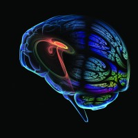 Laboratory for Computational Neurodiagnostics logo - Similar company to Volunteer Lab Doctors