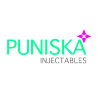 PUNISKA INJECTABLES PRIVATE LIMITED logo - Similar company to Hydropneumatics Private Limited