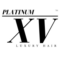 Platinum XV logo - Similar company to Alpha American Inc.