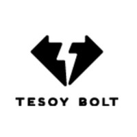 Tesoy Bolt India Pvt Ltd logo - Similar company to Kw Conferences