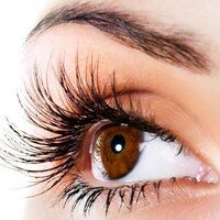 Eyelash Supply logo - Similar company to Veki Lash S.L.