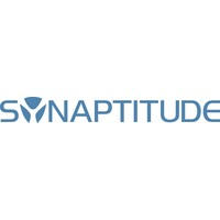 Synaptitude logo - Similar company to Net Digital Solutions