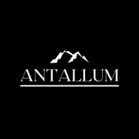 ANTALLUM logo - Similar company to Meest America