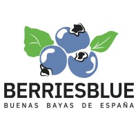 BerriesBlue logo - Similar company to Pceb