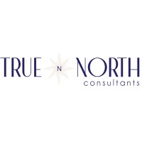 True North Consultants logo - Similar company to True North Equities
