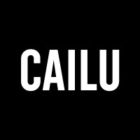 CAILU logo - Similar company to Topologic