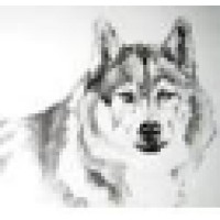 Charles J. Wolfe Associates, LLC