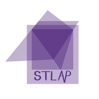 Saint Louis Anti-Violence Project logo - Similar company to St. Louis Social Venture Partners