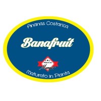BANAFRUIT IMPORT - EXPORT SRL logo - Similar company to Cervati Import Export Aglio