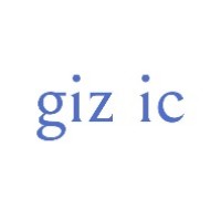 Giz Ic