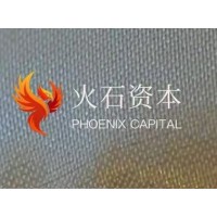 Phoenix Capital logo - Similar company to Impeccable Tech