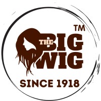 The Big Wig logo - Similar company to Mime Creative