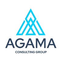 Agama Consulting Group logo - Similar company to Dnext Inc.