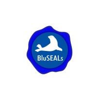BluSEALS logo - Similar company to Location Tech (Veteran Owned)
