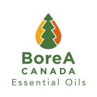 BoreA Canada logo - Similar company to L3 Process Development