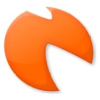 Nicosys logo - Similar company to Lightz Inc