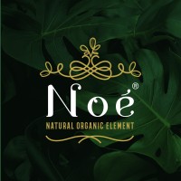 noe cosmetic logo - Similar company to Microformulation Cosmetic Consulting