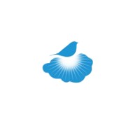 SI PLACEMENTS INTERNATIONALS logo - Similar company to Myoffice Answer India Pvt. Ltd.