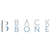 BackBone Management Consulting logo - Similar company to Blynk Holding Company