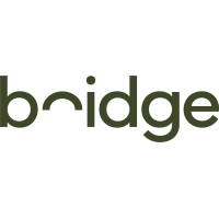 Bridge A/S logo - Similar company to Visual Display
