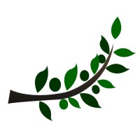 Icl Media Review