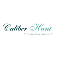 Caliber Hunt logo - Similar company to Trinity Partners Llp