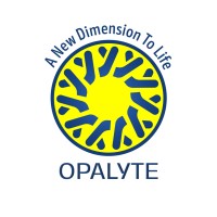 Opalyte Services Private Limited logo - Similar company to Revanza Leasing India Private Limited