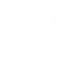 unknown page logo - Similar company to Unknown Page