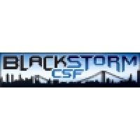 BlackStorm Cyber Security & Forensics LLC logo - Similar company to Blackstorm Security