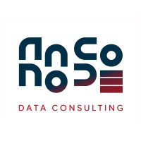 Nanocode logo - Similar company to Nanocode