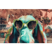 The Conversion Club logo - Similar company to Dream2Team