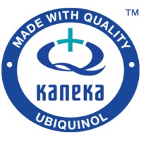 Kaneka Ubiquinol APAC logo - Similar company to A Thousand Plus