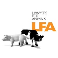 Lawyers for Animals logo - Similar company to The Watson Law Office, Pllc