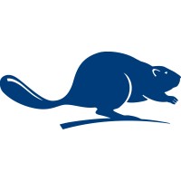 Bever Management