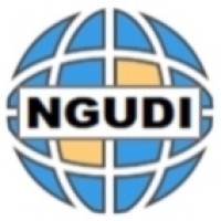 NGUDI corporation limited