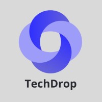 TechDrop logo - Similar company to The Bee Codes