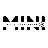 Mini Data Consulting logo - Similar company to Tripandthrill